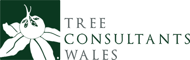 TreeConsultants Wales Arboricultural Consultancy
