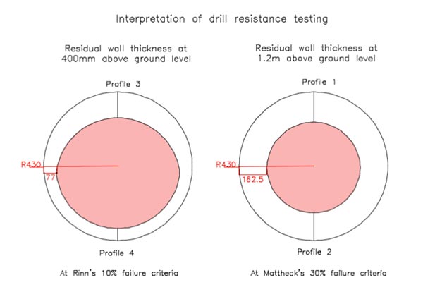 Resistograph Tree Analysis