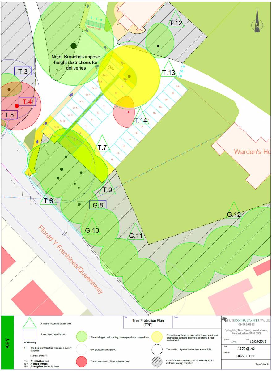 Tree Protection Plan